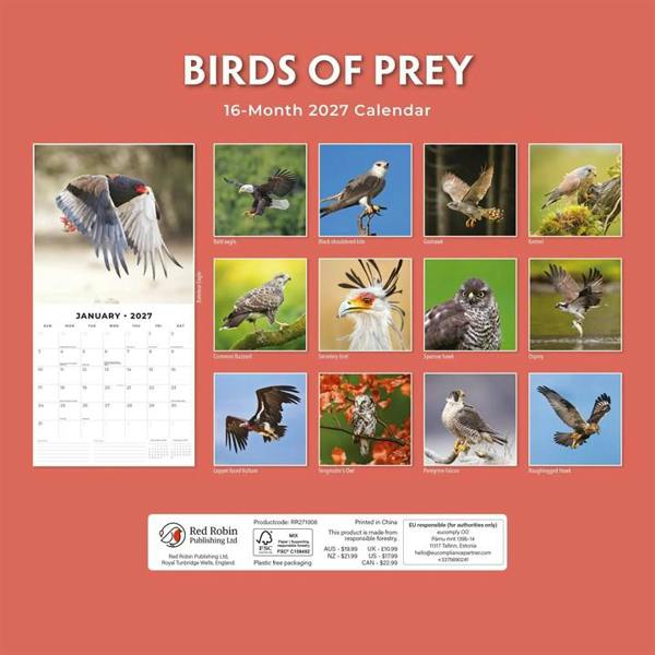 Birds of Prey Calendar 2027, Wall Calendars, Month To View, Animals, Gift