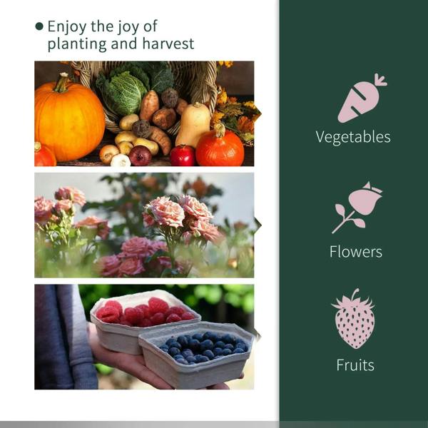 Green tunnel greenhouse for growing vegetables, flowers, and fruits outdoors