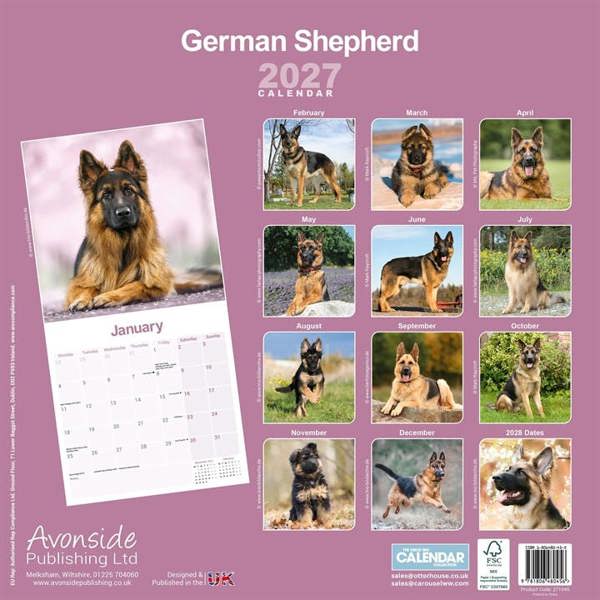 German Shepherd Calendar 2027, Wall Calendars, Month To View, Dogs, Gift