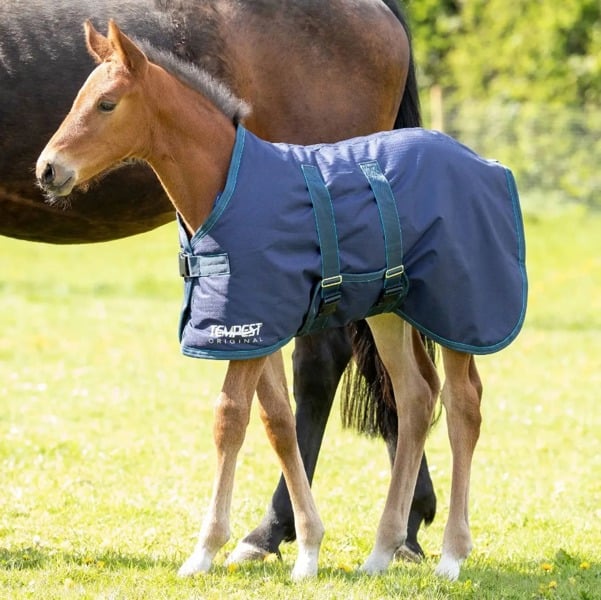 Shires Tempest Original Foal Turnout Rug - Navy/Turquoise