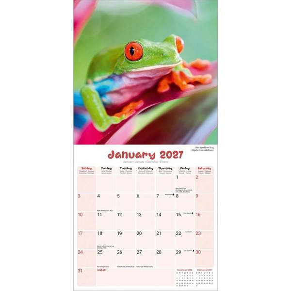 Frogs Calendar 2027, Wall Calendars, Month To View, Animals, Gift