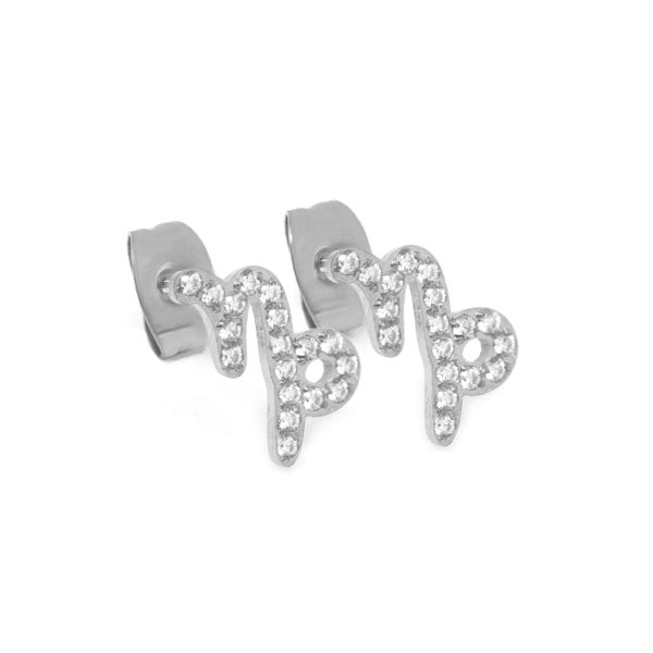 Say It With Capricorn Earrings with CZ Stones - Silver Plated