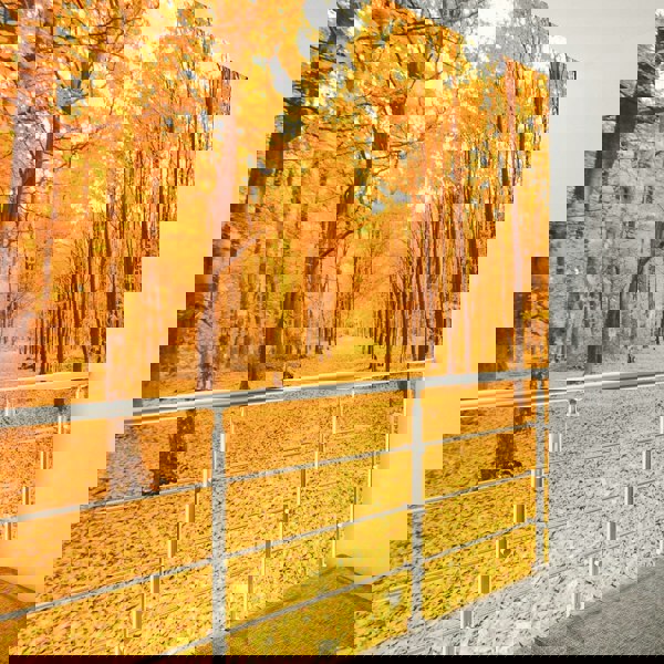 150cm Wide Silver Floor Mount Stainless Steel Handrail for Slopes and Stairs Handrails Living and Home