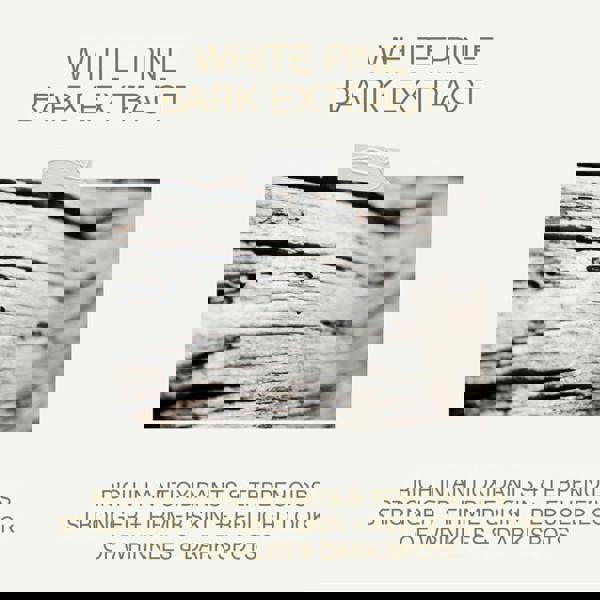 Korres White Pine Deep Wrinkle Concentrate 40 ml