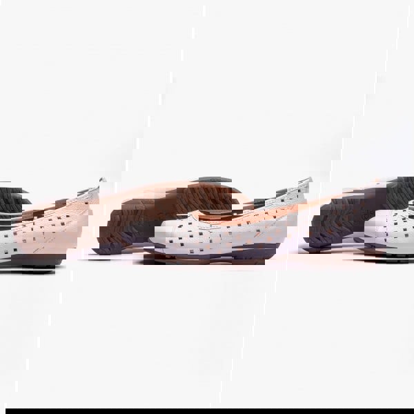 1677060039-13453100.jpg