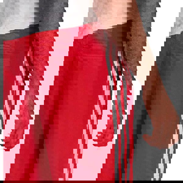 3afed5b78be81f344fcb6bd973654319