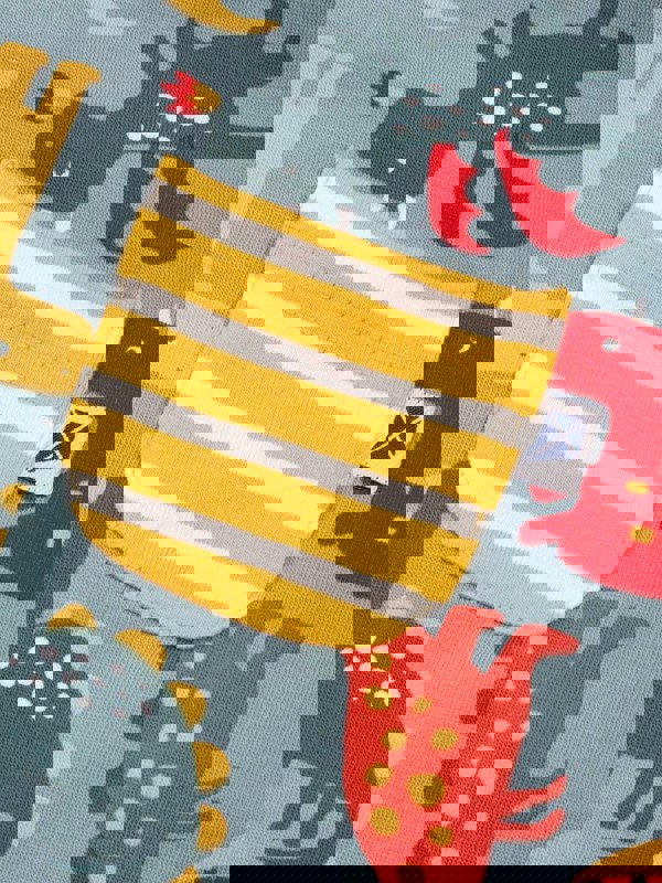 Kite Boys Organic Dinos And Dragons T-Shirt