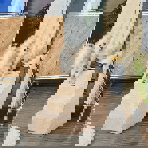 D06-091BG