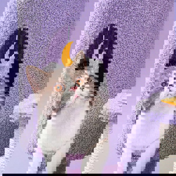 Díaz Cat Climber, Cat Tree, Coral Fleece, Purple-Weilai Concept-Weilai Concept