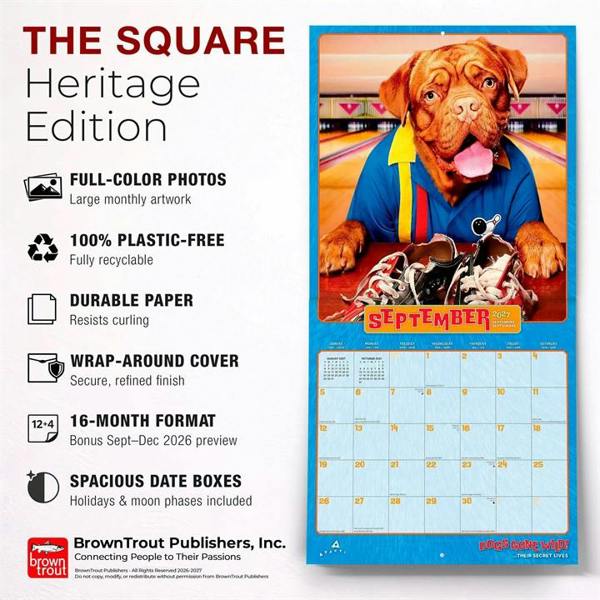 Dogs Gone Wild Calendar 2027, Wall Calendars, Month To View, Dogs, Gift