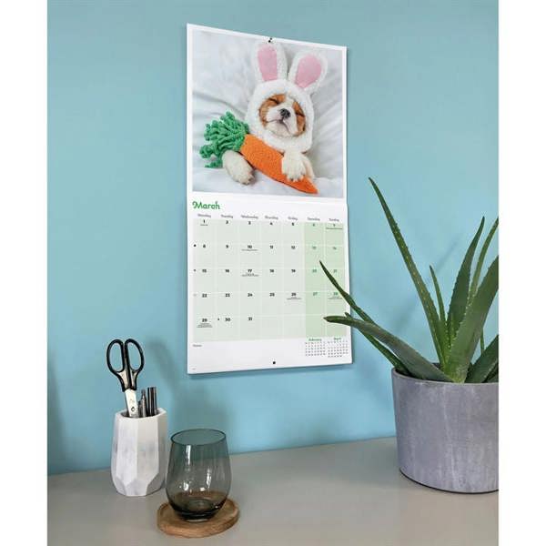 Dogs in Disguise Calendar 2027, Wall Calendars, Month To View, Humour, Gift