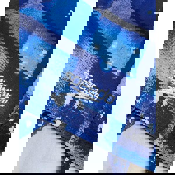 Blue and white striped Speedo Valmilton Allover Aquashort swim trunks