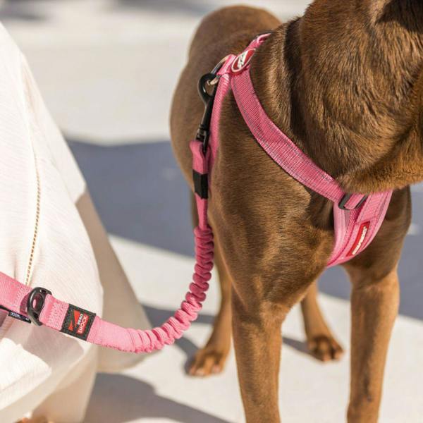 EzyDog Zero Shock Dog Lead in Pink