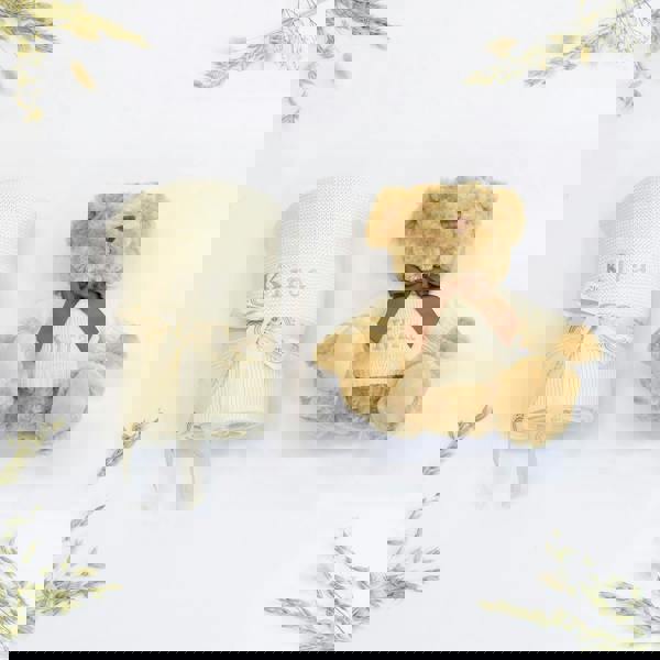 The Baby Gifting Company NEW BABY BLANKET AND TEDDY