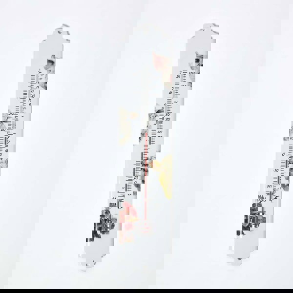 HOMESCAPES Outdoor Thermometer with Farmyard Animal Design