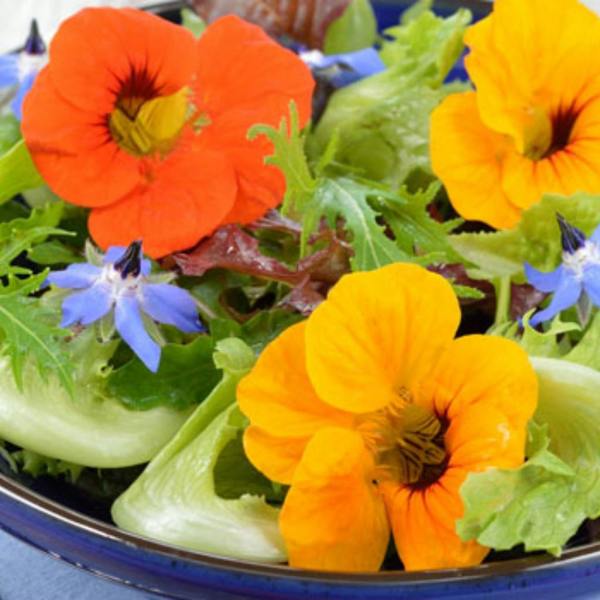 A colorful salad dish topped with bright orange, yellow, and blue edible flowers.