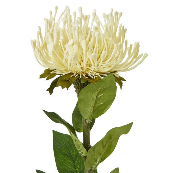Wyld Haus Set of 3 Artificial Flowers Cream Protea Lorea Stems