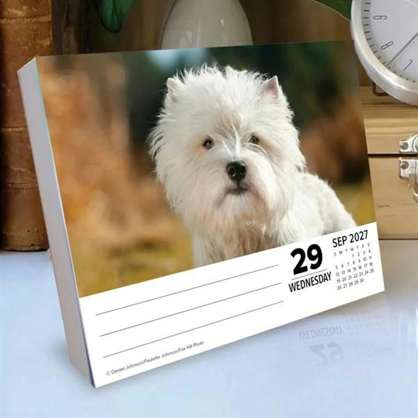 Just Westies Desk Calendar 2027, Desk Calendars, Day To View, Dogs, Gift