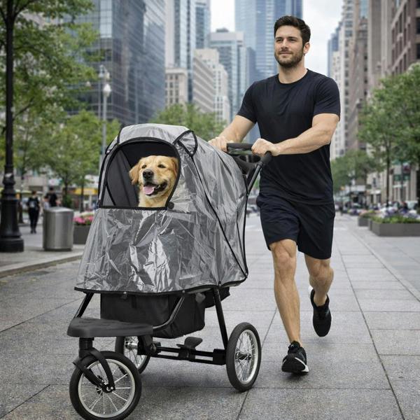 Black pet jogger with a spacious canopy, featuring a happy golden retriever, rolling on city streets with a man in athletic wear