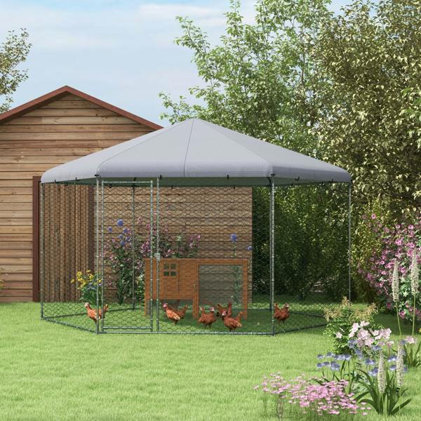 Chicken Coop