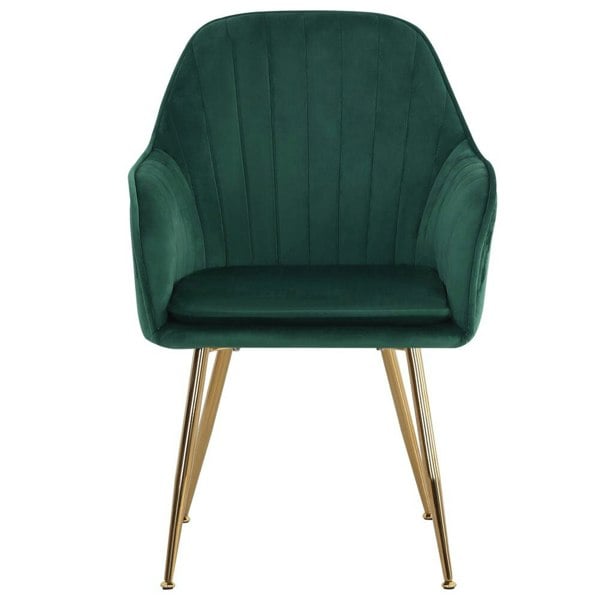 Set of 2 Velvet Dining Chairs with Pad and Armrest Dining Chairs Living and Home