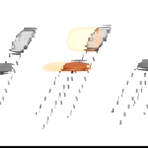 Ozzie Rattan Dining Chair, Round Seat Pad-Weilai concept-Weilai Concept