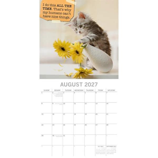 Cat Shaming Calendar 2027, Wall Calendars, Month To View, Cats, Gift