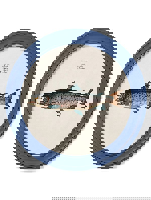 Exceptional Art c.1785 Studies of Salmon - Round Frame Blue