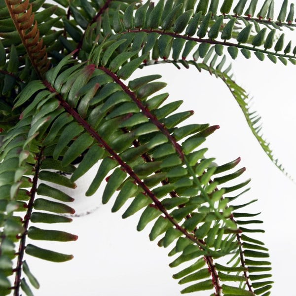 Leaf 40cm Artificial Fern Bush in Decorative Planter