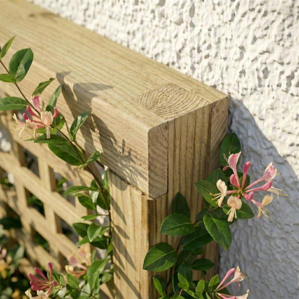 3 pack trellis urban square [w.6ft x h.2ft] 1