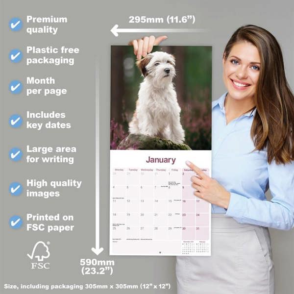 Tibetan Terrier Calendar 2027, Wall Calendars, Month To View, Dogs, Gift