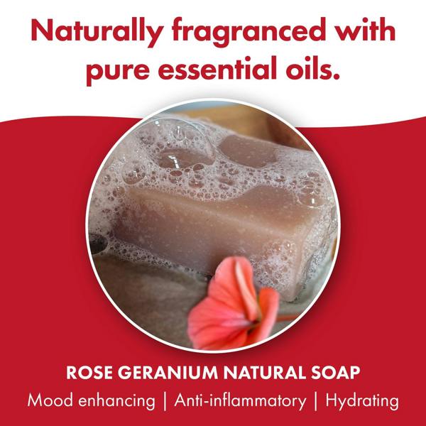 Friendly Soap 3 Pack - Natural Soap - Rose Geranium