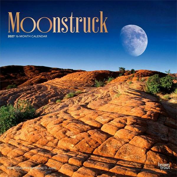 Moonstruck Calendar 2027, Wall Calendars, Month To View, Natural World, Gift