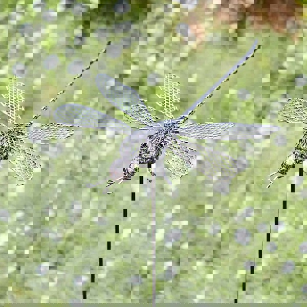Paper High Anax Metal Dragonfly Garden Stake Decoration