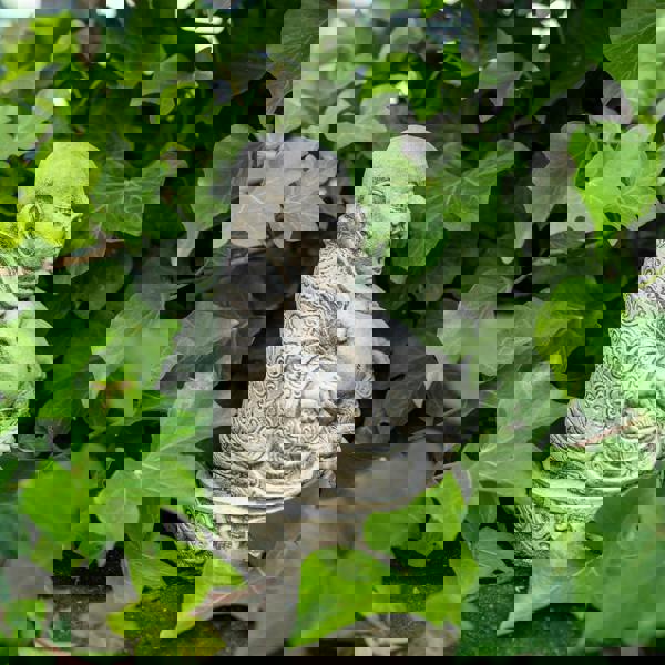 Small Fat Belly Buddha Oriental