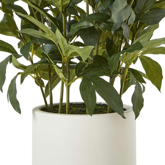 Wyld Haus Artificial Plant Large White Peony Plant In White Ceramic Pot