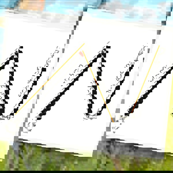D00-201V00BK