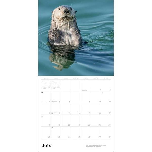 Unbranded Sea Otters Calendar 2027, Wall Calendars, Month To View, Animals, Gift