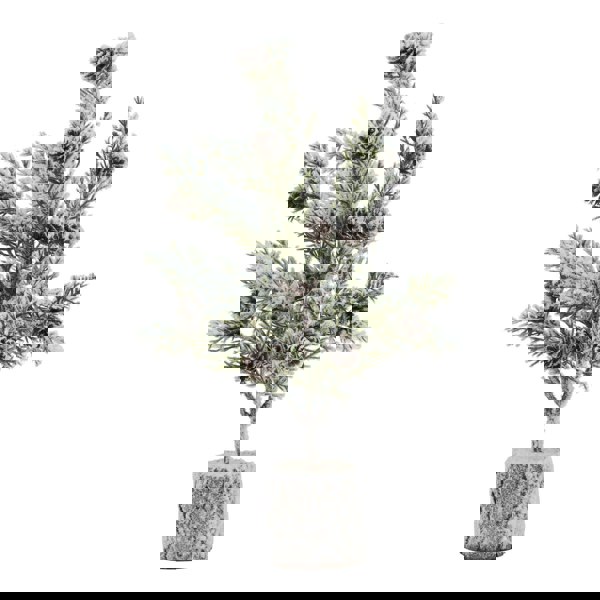 Hill Interiors Snowy Fir With Pinecones Decoration - Brown/White/Green