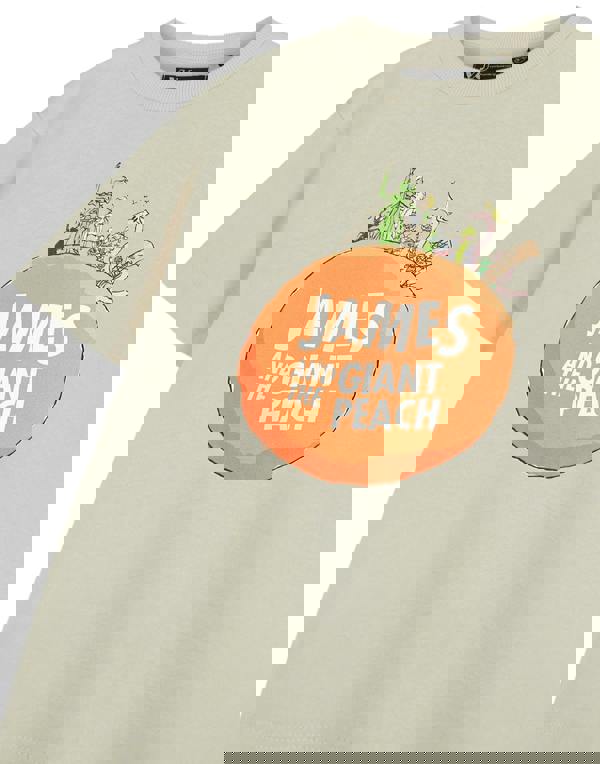 Roald Dahl Unisex Kids Beige James and The Giant Peach Short Sleeved T-Shirt