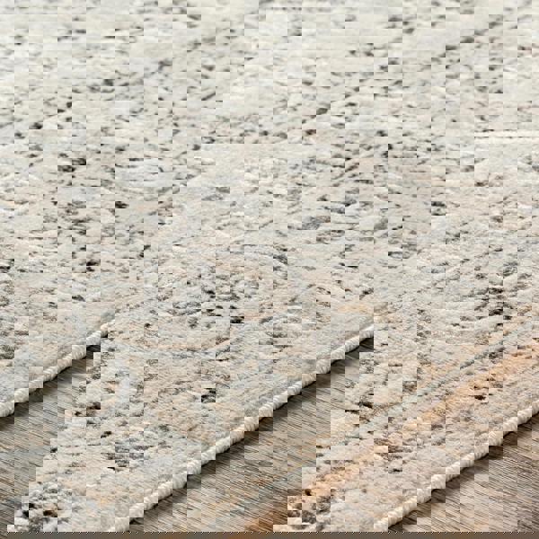 Livabliss City-Vintage Grey Beige Traditional Boho Rug