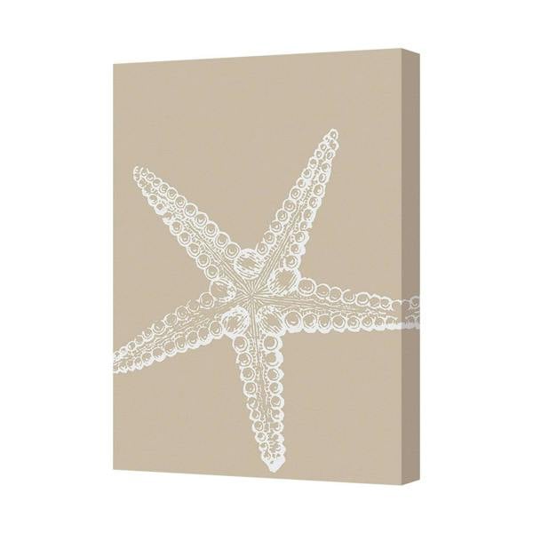 Benjamin Tate Design Beige Starfish Canvas Wall Art Print Beach Home Decor