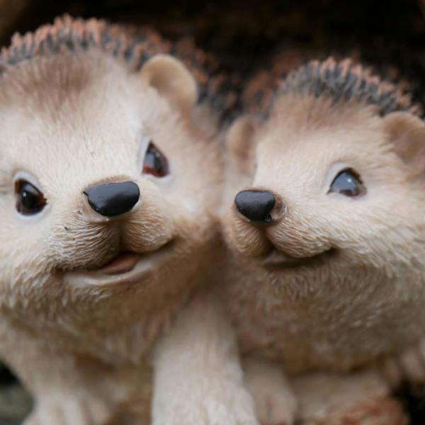 Hedgehogs In Log Home Accessory Garden Ornament