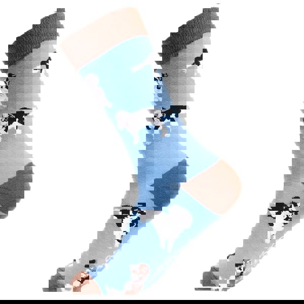 t4option1_1