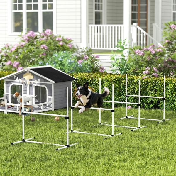Pet Agility Set