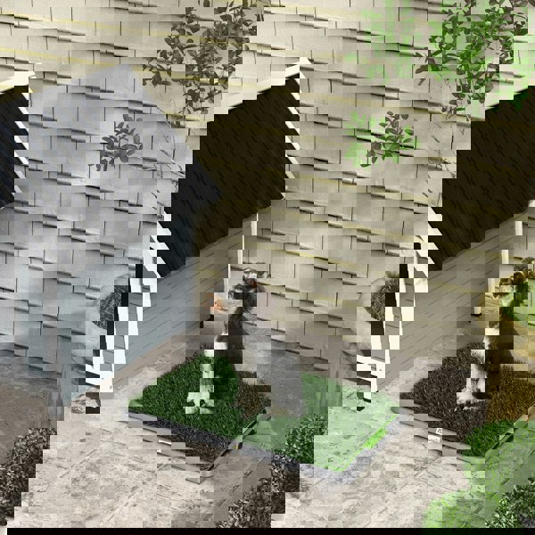 D07-049V01GN