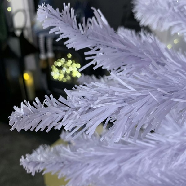 Samuel Alexander 6ft (180cm) White Pencil Pine Christmas Tree with 321 Tips