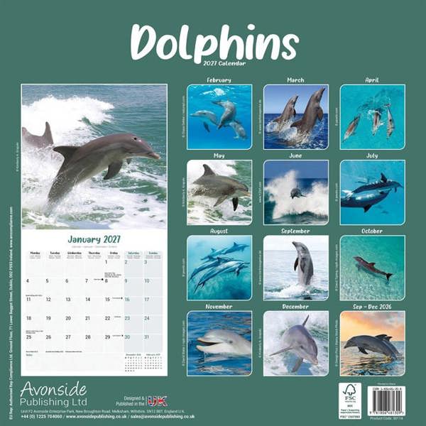 Dolphins Calendar 2027, Wall Calendars, Month To View, Animals, Gift