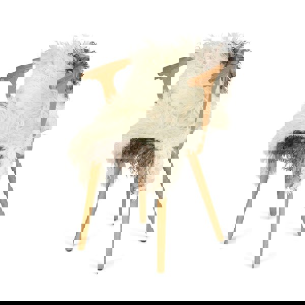 Austrian Curly Sheepskin | Natural Colors | 90 cm Off White