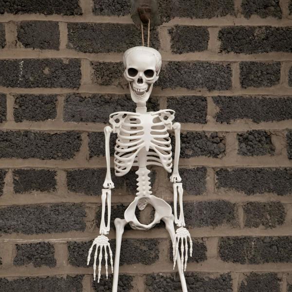 Samuel Alexander 3ft (90cm) Posable Full Body Halloween Skeleton Decoration with Movable Joints